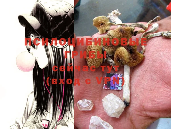 MDMA Вязьма