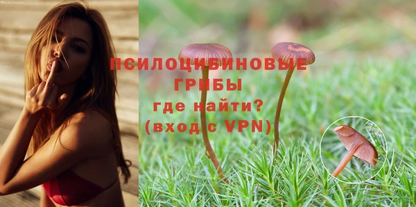дурь Володарск