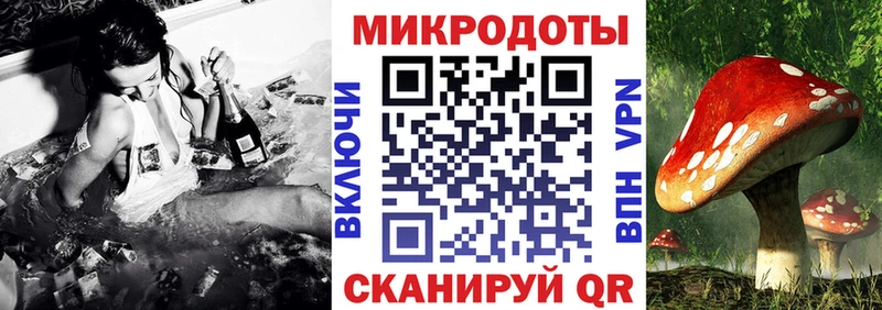 Галлюциногенные грибы Psilocybe  Псков 